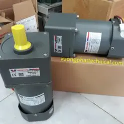 Mô tơ giảm tốc mini Wanshsin