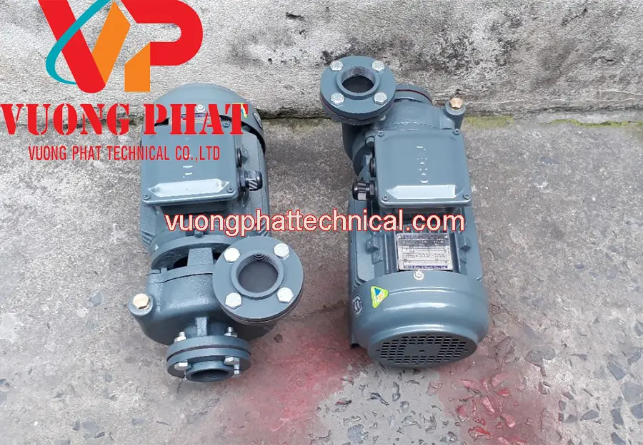 Máy Bơm Nước Teco 15HP - Hình 2