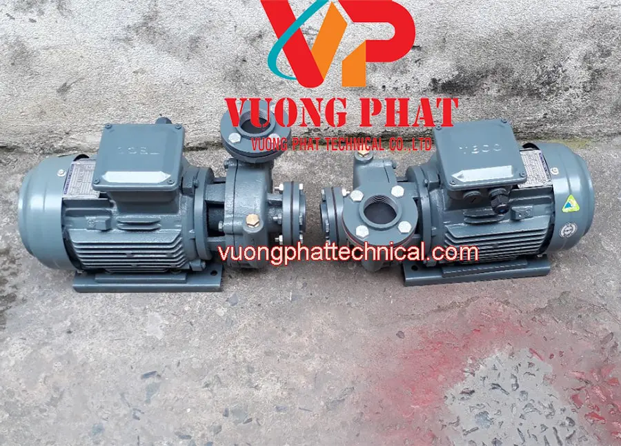 Bơm Nước Teco 25HP