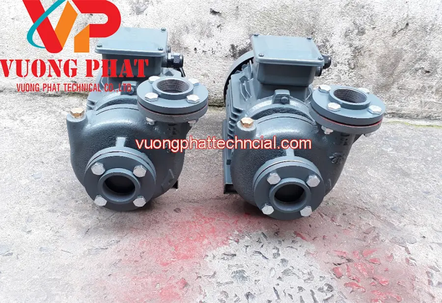 Bơm Nước Teco 30HP