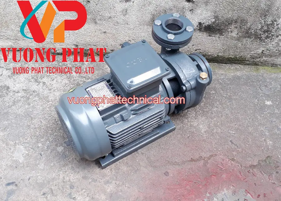 Máy Bơm Nước Teco 40HP 30KW