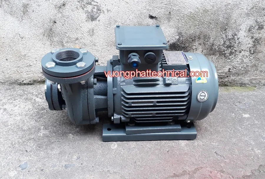 Máy Bơm Nước Teco 5HP 3.7KW