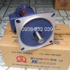 Motor giảm tốc mặt bích Tunglee 0.75kw