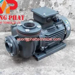 Máy Bơm Nước Teco 10HP 7.5KW