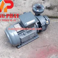 Máy Bơm Nước Teco 40HP 30KW