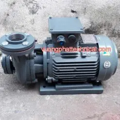 Máy Bơm Nước Teco 5HP 3.7KW