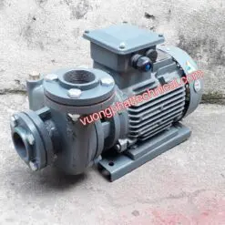 Máy bơm nước Teco 1HP 0.75KW