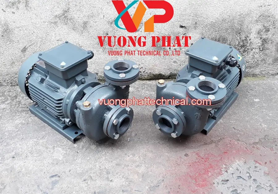 máy bơm nước Teco 1/2hp