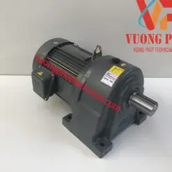 Motor giảm tốc Wanshsin chân đế