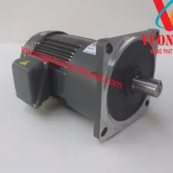 Motor giảm tốc Wanshsin mặt bích