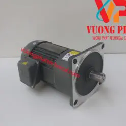 Motor giảm tốc wanshsin mặt bích 1HP