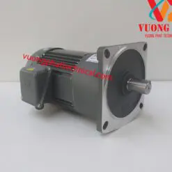 motor giảm tốc wanshsin mặt bích