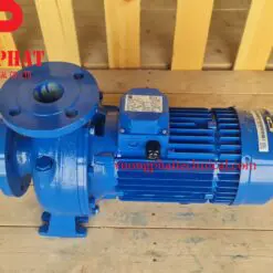 Bơm trục ngang Ebara 3D 65-125 4