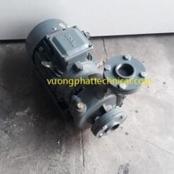 Máy bơm nước ly tâm đầu liền Teco