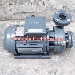 Máy Bơm Nước Teco 2HP