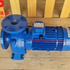 Bơm trục ngang Ebara 3D 50-125 2.2