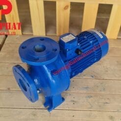 Bơm trục ngang Ebara 3D 50-125 3