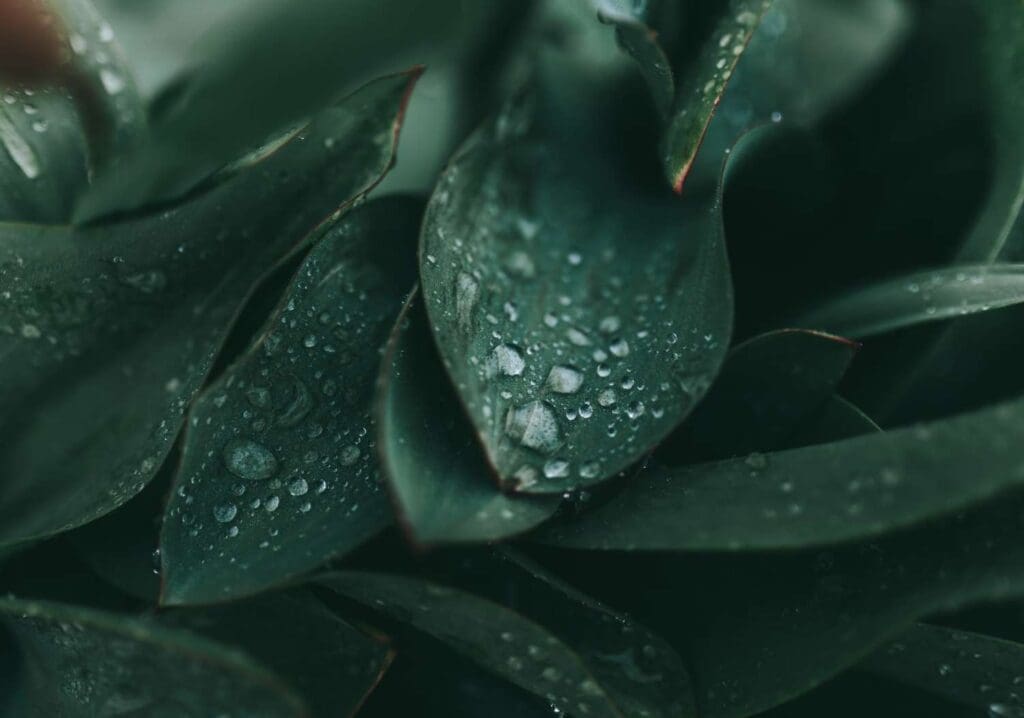 Công ty TNHH TM KT Vương Phát